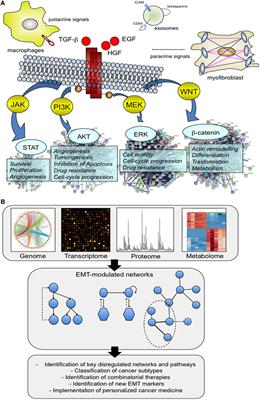 The Many-Faced Program of Epithelial–Mesenchymal Transition: A System Biology-Based View